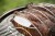 7648H-1536x1024-0ba3f88.jpg