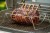 6469M3-1536x1024-84ffe8d.jpg