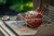 6469M4-1536x1024-57d5afd.jpg