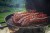 6469M6-1537x1024-b962cff.jpg