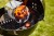 Weber Kokosbriketten_IMG_1278.jpg