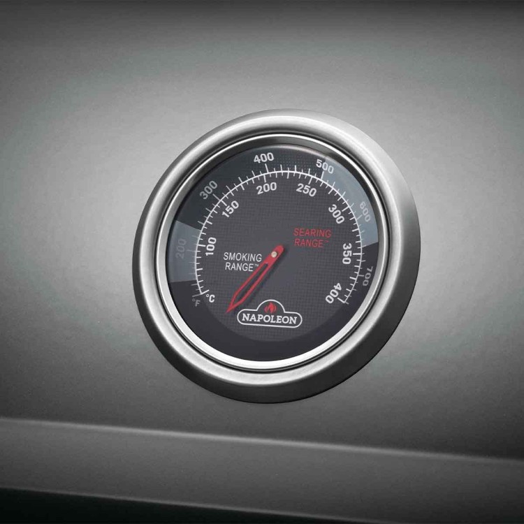 F425SBPGT-DE-Napoleon-Freestyle-425-SB-4-Hauptbrenner-mit-Seitenbrenner-Graphit-2021-665334_8.jpg