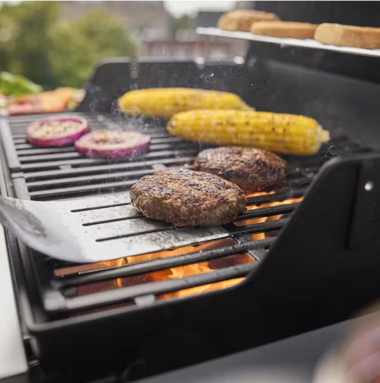 weber spirit e-210.jpg