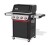 weber spirit ep-425 www.grille-bielsko.pl 2.jpg