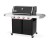 Grill gazowy Weber Genesis E-415W www.grille-bielsko.pl 2.jpg
