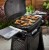 Grill gazowy Weber Q 2200N z wózkiem i stolikami - 1501105 www.grille-bielsko.pl 3.jpg