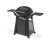 Grill gazowy Weber Q 3200N+ z wózkiem Premium - 1501130 www.grille-bielsko.pl 2.jpg