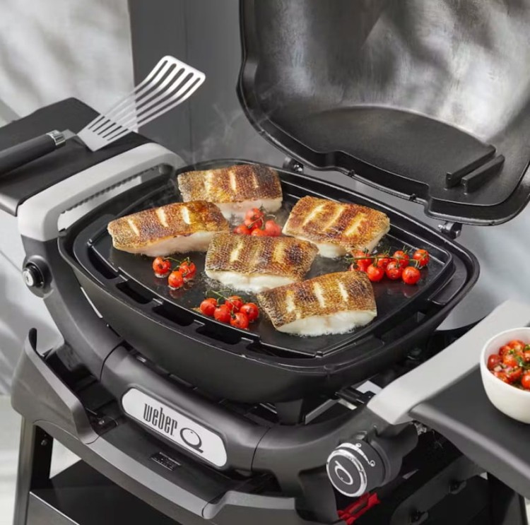 pełna płyta weber q www.grille-bielsko.pl 4.jpg
