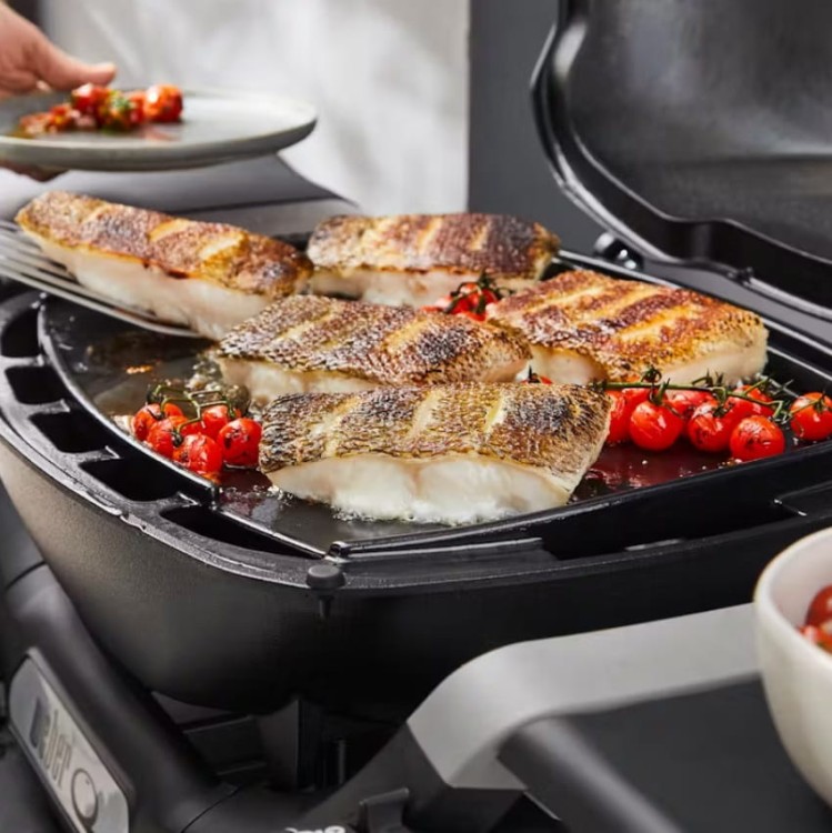 pełna płyta weber q www.grille-bielsko.pl 5.jpg