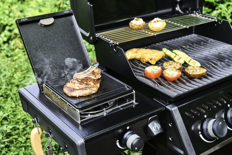 F425DSBPK_WithFood1_With56081-1024x684-e0c913e.png
