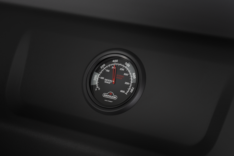 Freestyle_FP425DSIBPK-1-PHM-Detail-Ang_TempGauge-1024x683-e0c913e.png