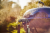 14516001S2-1024x683-e0c913e.png
