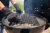 1500064_G06_rgb-1024x683-e0c913e.png