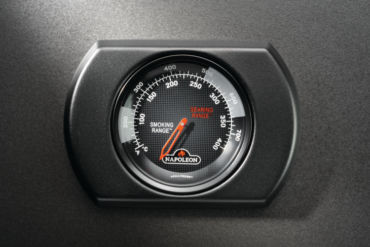 Rogue-R365PMK-2-Detail-TempGauge-1024x684-e0c913e.png