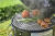AS18K_WithFood10-1024x684-e0c913e.png