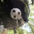 1502061_57_Compact_ATF_02.jpg