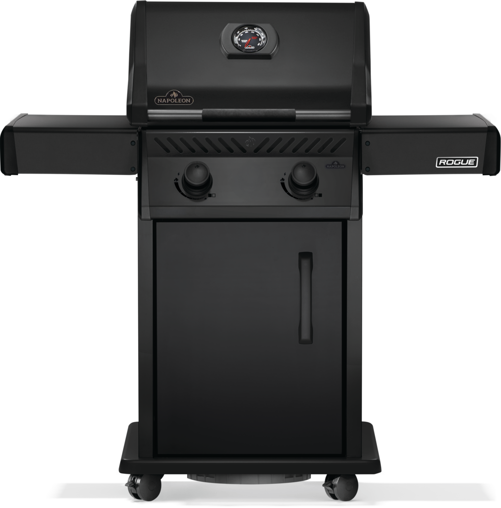 Rogue-R365PMK-2-Prod-Str-MAIN-1011x1024-e0c913e.png